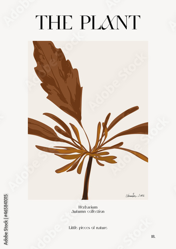 The plant. Autumn flower market poster. Herbarium