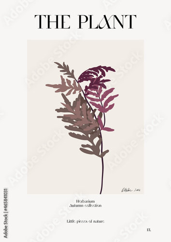 The plant. Autumn flower market poster. Herbarium