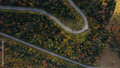 aerial view of cars driving up road through colorful autumn forest.