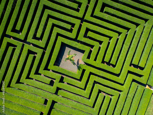 green maze background