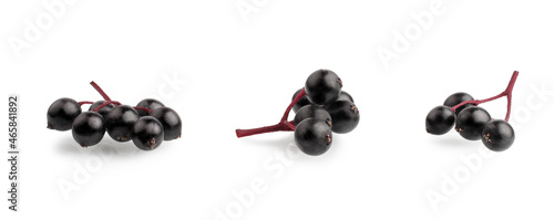 Elderberry berries isolated on a white background, macro.