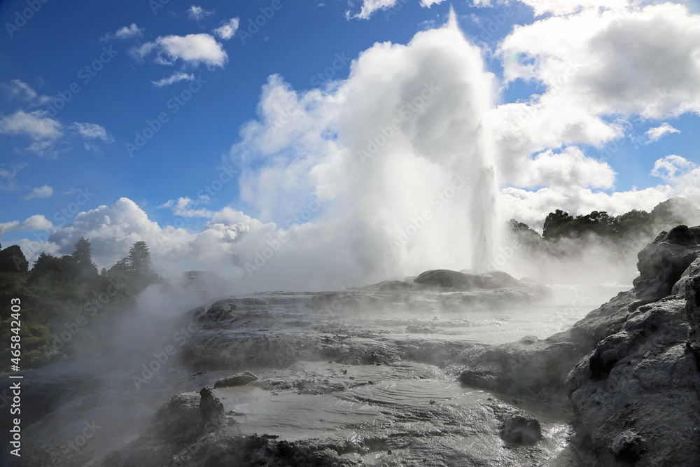 Pohutu geyser, New Zealand