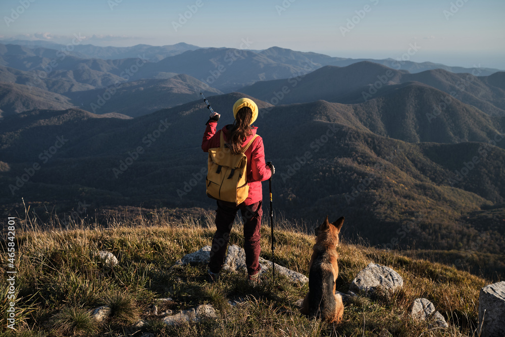 Female traveler in red jacket with yellow backpack stands with back turned and looks at mountains with German Shepherd. Travel in mountains with dog. Panoramic view of autumn nature and human.