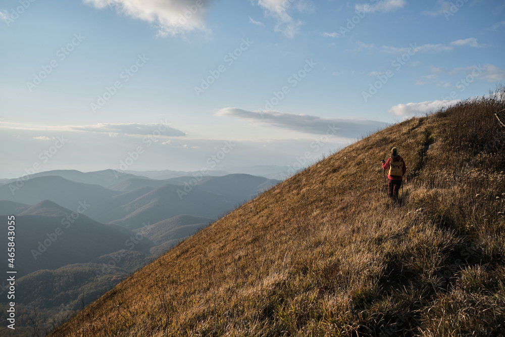Trekking route in national park. Walk above clouds with backpack and sticks. Female traveler walks along narrow path on top of mountain among tall yellow dry grass.