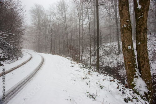 Une route enneigée en forêt dans les Ardennes belges.