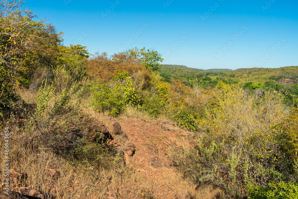 A view of the caatinga landscape in autumn (beginning of the dry season), trees and schrubs losing their leaves - Oeiras, Piaui state, Brazil A view of the caatinga landscape in autumn (beginning of the dry season), trees and schrubs losing their leaves - Oeiras, Piaui state, Brazil