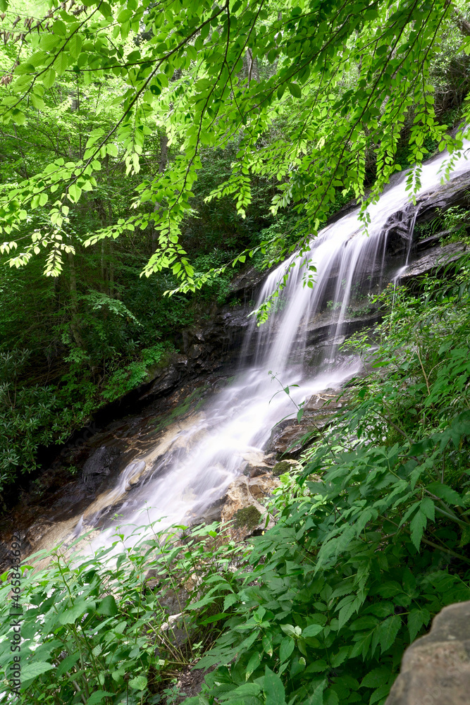 Fototapeta premium Cascade falls (waterfalls) of Gully Creek and Cumberland Knob Trail on the Blue Ridge Parkway in North Carolina. Delightful mountain stream and plants that live along its cool, damp banks. Motion Blur