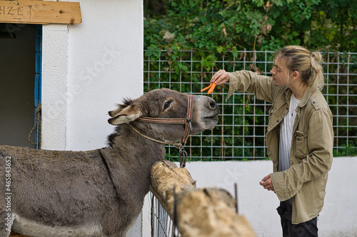 a young man feeding a donkey