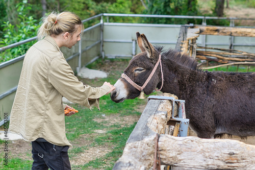 a young man feeding a donkey