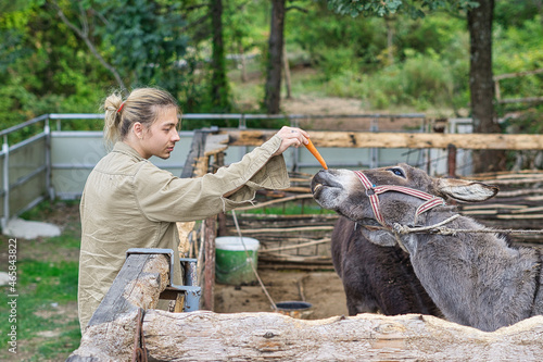a young man feeding a donkey