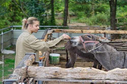 a young man feeding a donkey