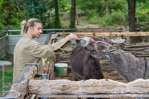 a young man feeding a donkey