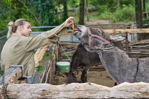 a young man feeding a donkey
