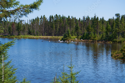 Park sauvage St Felicien Canada