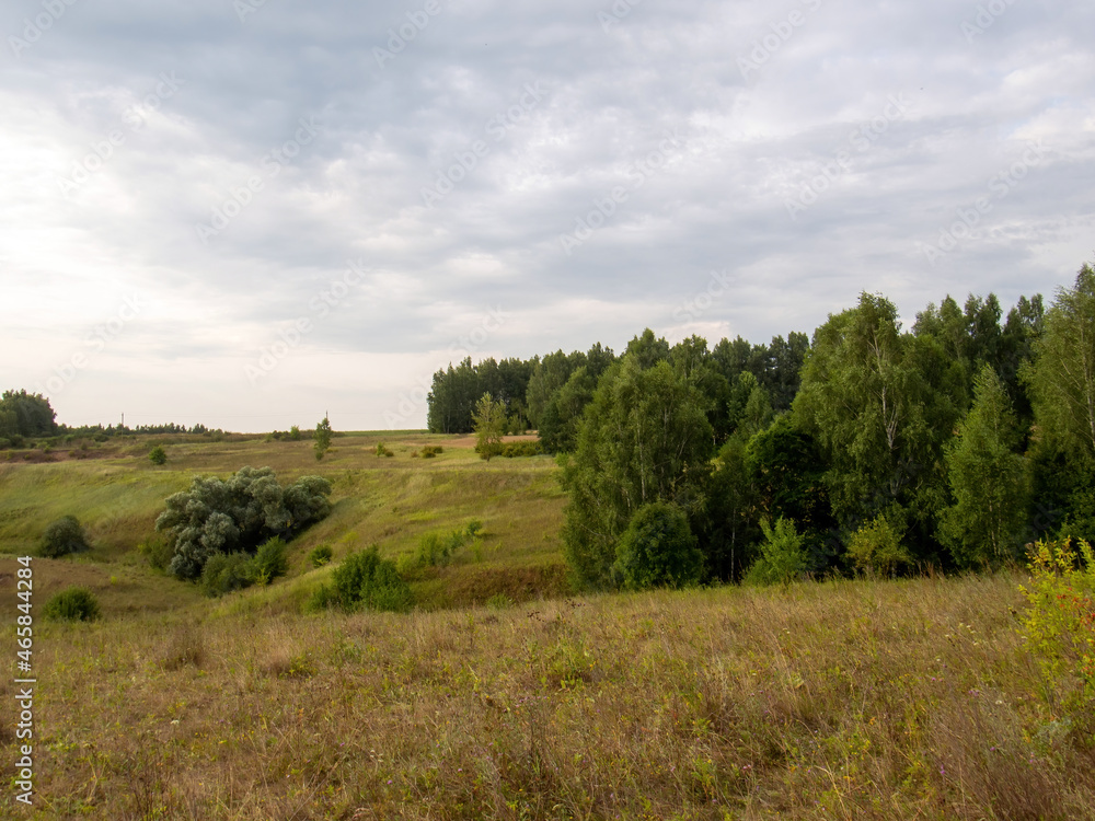 Fototapeta premium sunset on a clear day over a wooded ravine