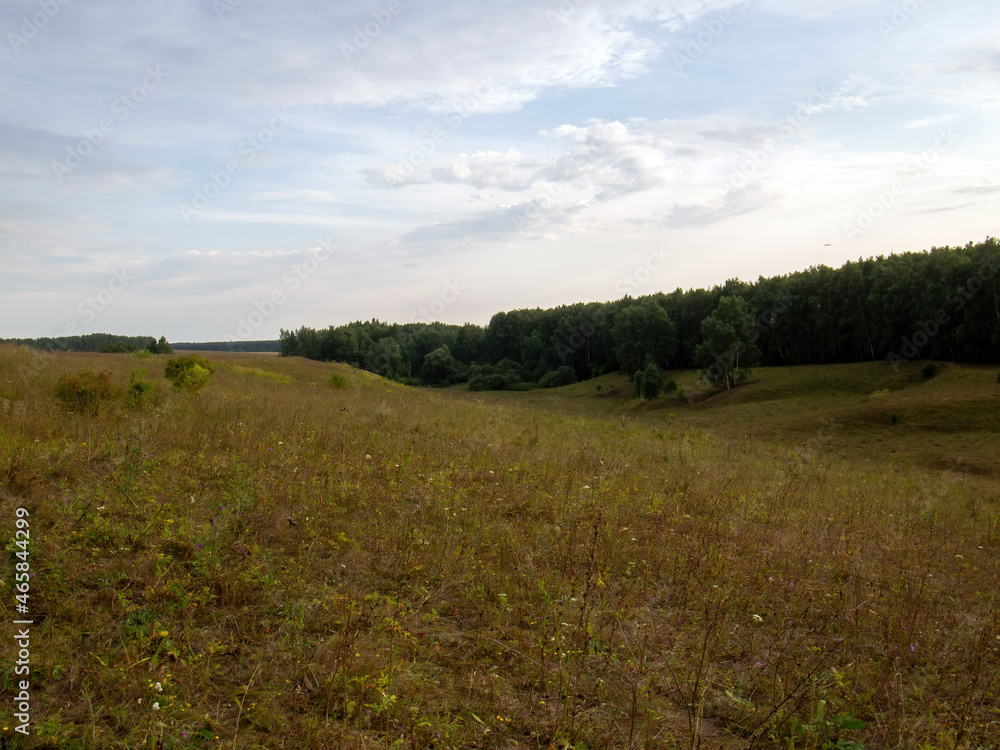 Fototapeta premium sunset on a clear day over a wooded ravine