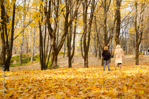 Two Caucasian women walking in Autumn city park with falling leaves. Maple trees and colorful flying leaves in the wind. Layer of foliage covers the ground around. Mood foto.