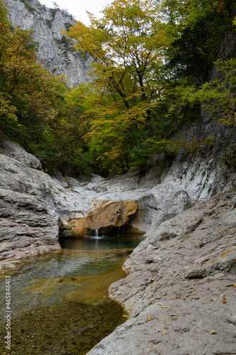 mountain river in the forest