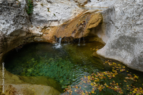 waterfall in the forest