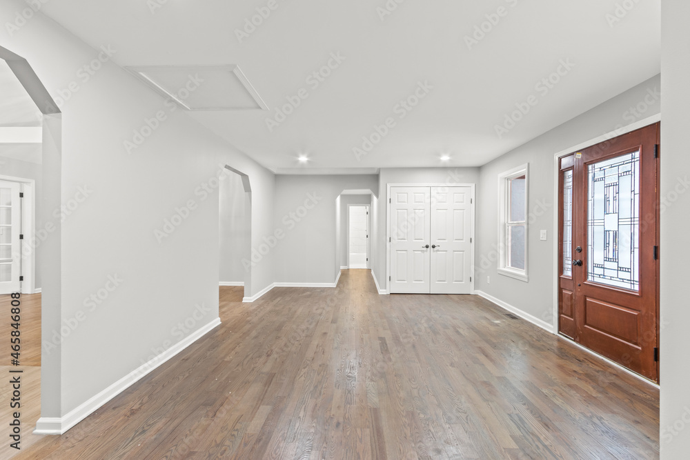 Fototapeta premium Luxury mansion foyer with double door closet