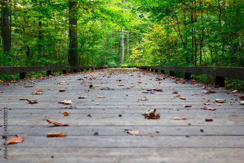 Inniswood Metro Gardens, Westerville, Ohio photo