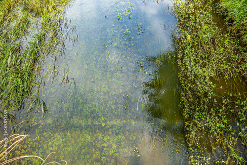 Crystal clear water in river Barycz in Poland by village Osetno © marketanovakova