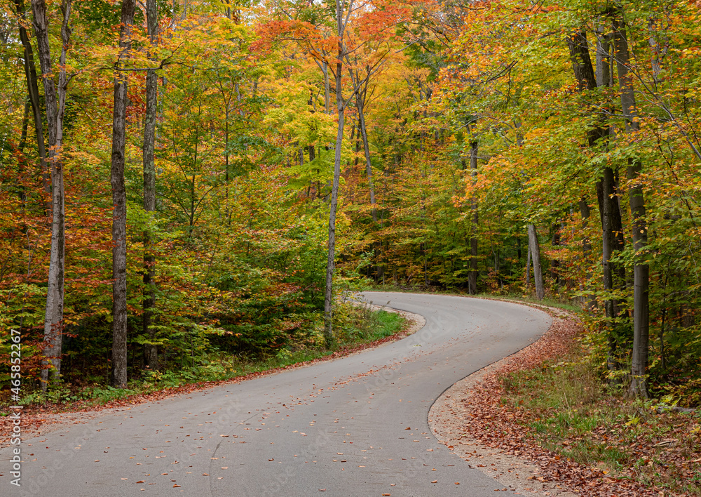Fototapeta premium 661-14 Cottage Row in Autumn