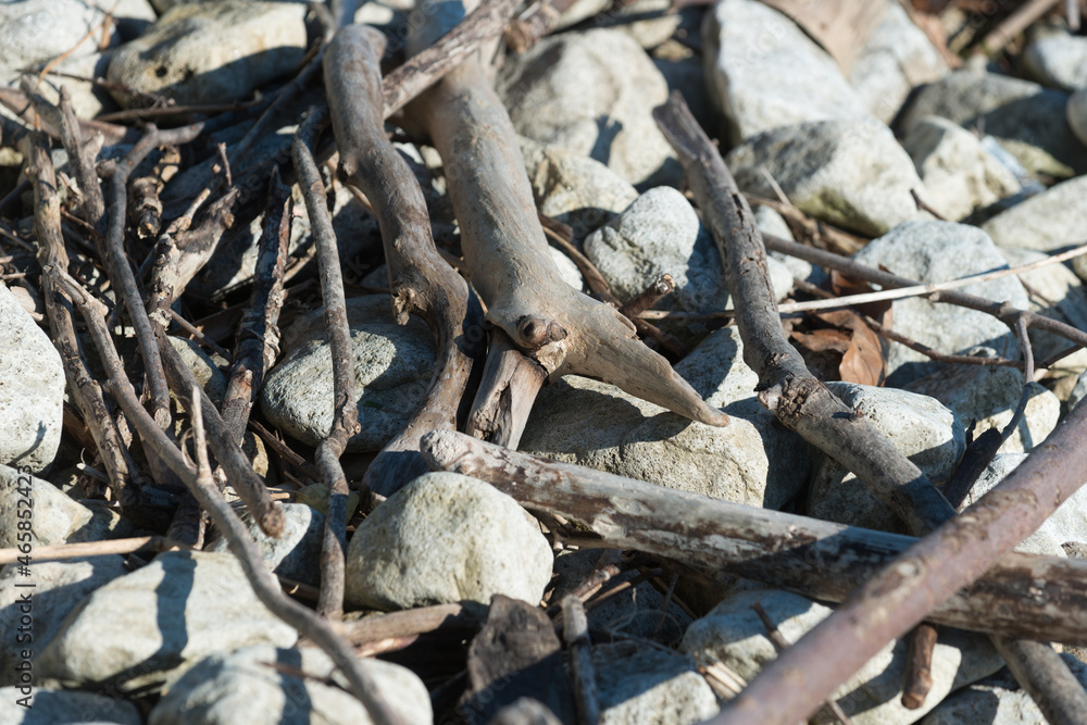 driftwood and stones driftwood and stones