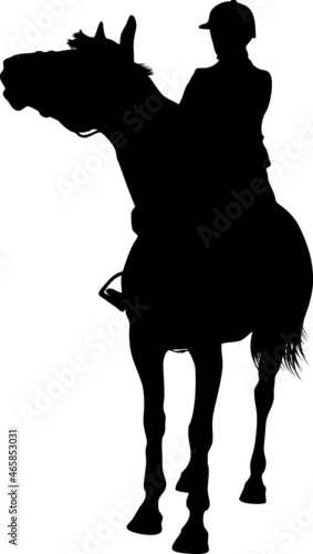 equestrian sport