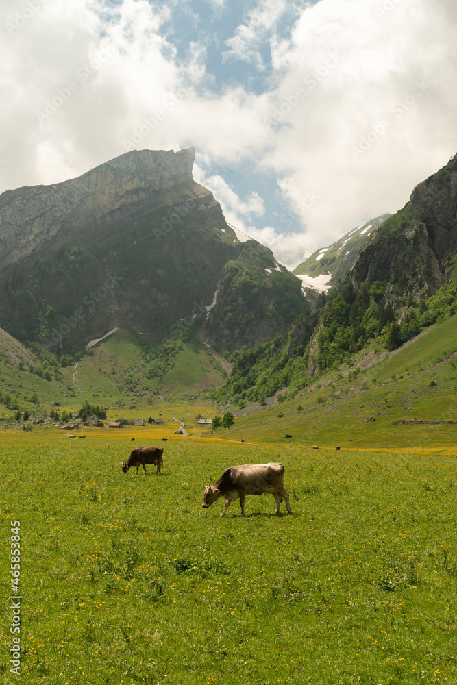 Fototapeta premium Appenzell, Switzerland, June 13, 2021 Mountain peak behind a fresh green meadow on a cloudy day