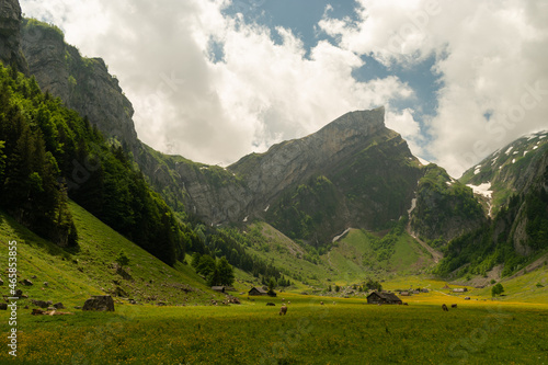 Appenzell, Switzerland, June 13, 2021 Mountain peak behind a fresh green meadow on a cloudy day