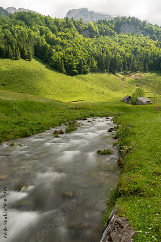 Appenzell, Switzerland, June 13, 2021 Little alpine river flows through a green meadow