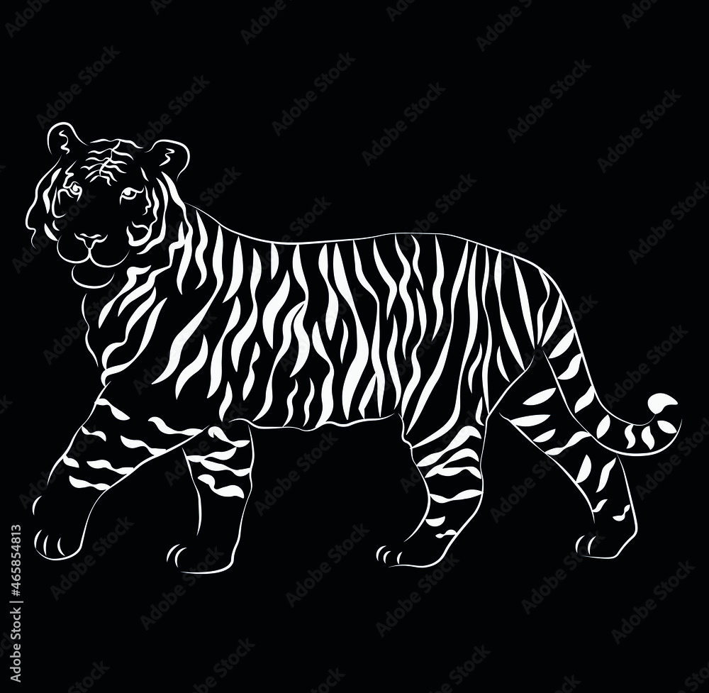 Tiger chalk, hand drawn vector isolated illustration on black background. Concept for logo, print, cards Tiger chalk, hand drawn vector isolated illustration on black background. Concept for logo, print, cards