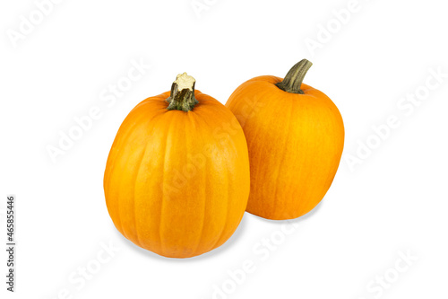 Two ripe orange pumpkins with green stalks, isolated on white background