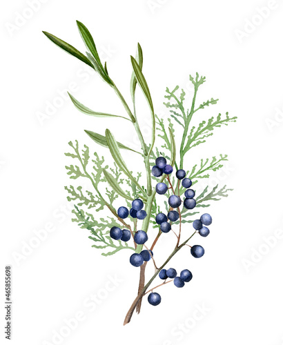 Watercolor juniper twig wreath. Christmas floral ilustration. Hand drawn winter  bouquet isolated on white background. Black berries branch.  Holiday invitation, card design. Hand painted clip art photo
