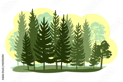 Vászonkép Forest silhouette scene