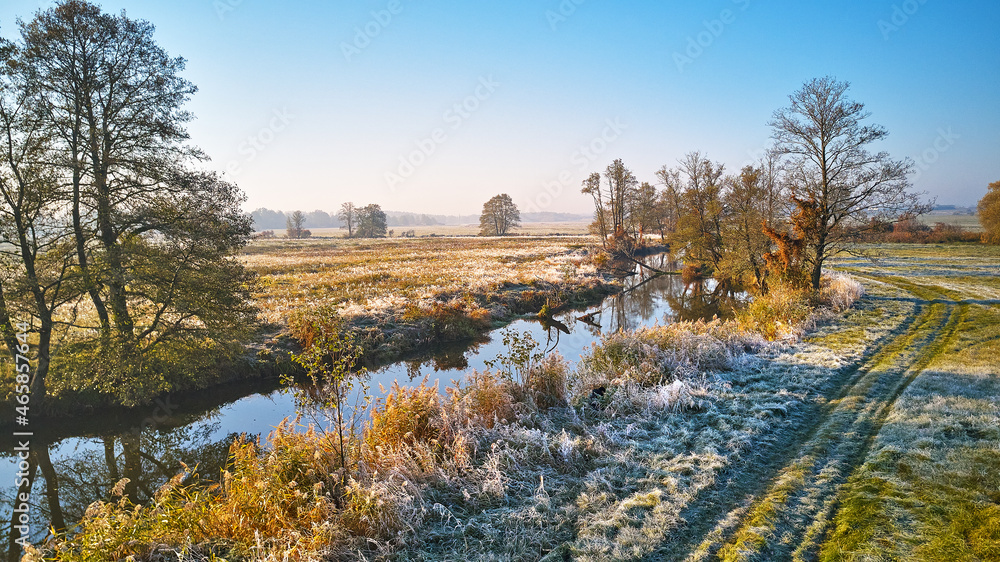 field, meadow, trees on riverbank. Dirt road on grassland