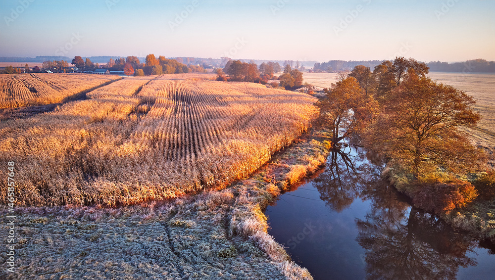Autumn rural landscape. Frost on grass. River, Corn field, meadow, village, fall color trees