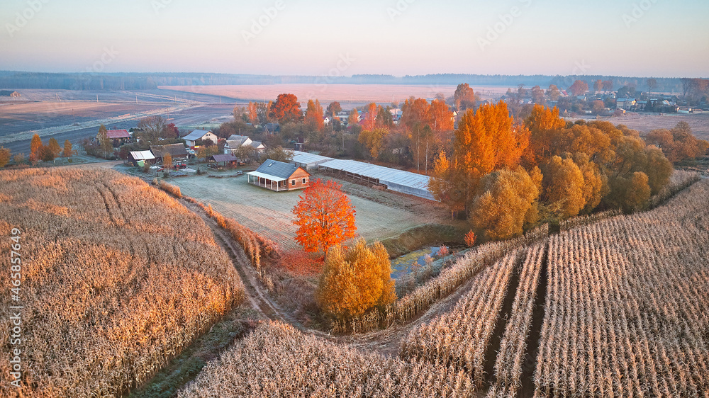 Country house, pond in Autumn village. Aerial rural landscape. Frost on grass. Corn Field