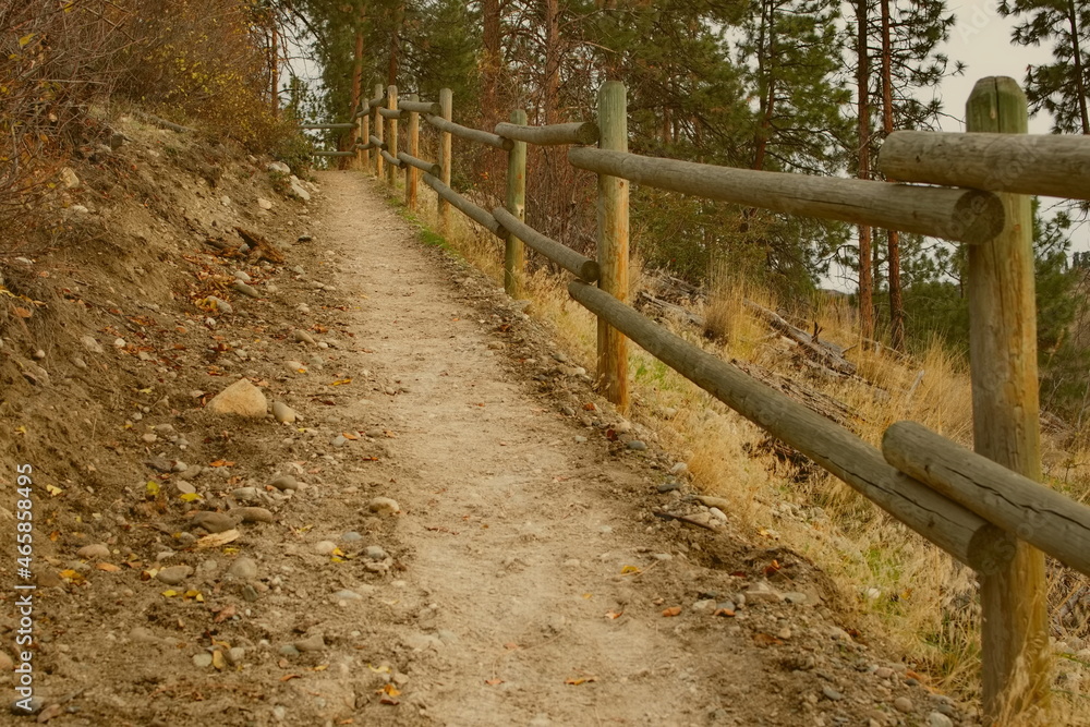 An autumn forest path leading uphill with an old fence made from wooden poles bordering the trail.