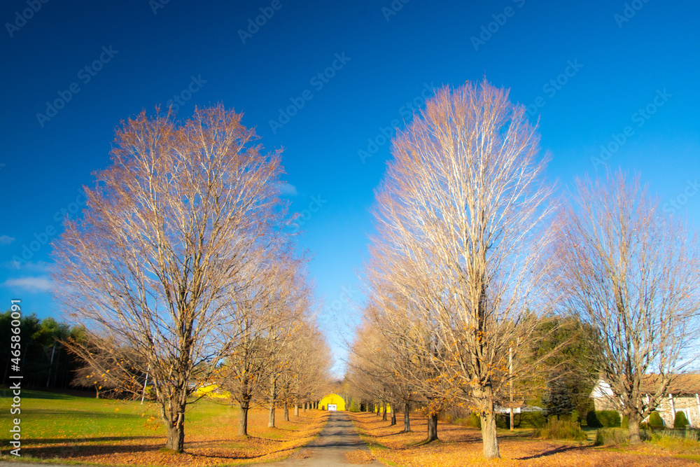 Obraz premium Fall colors in the Canadian countryside in the province of Quebec