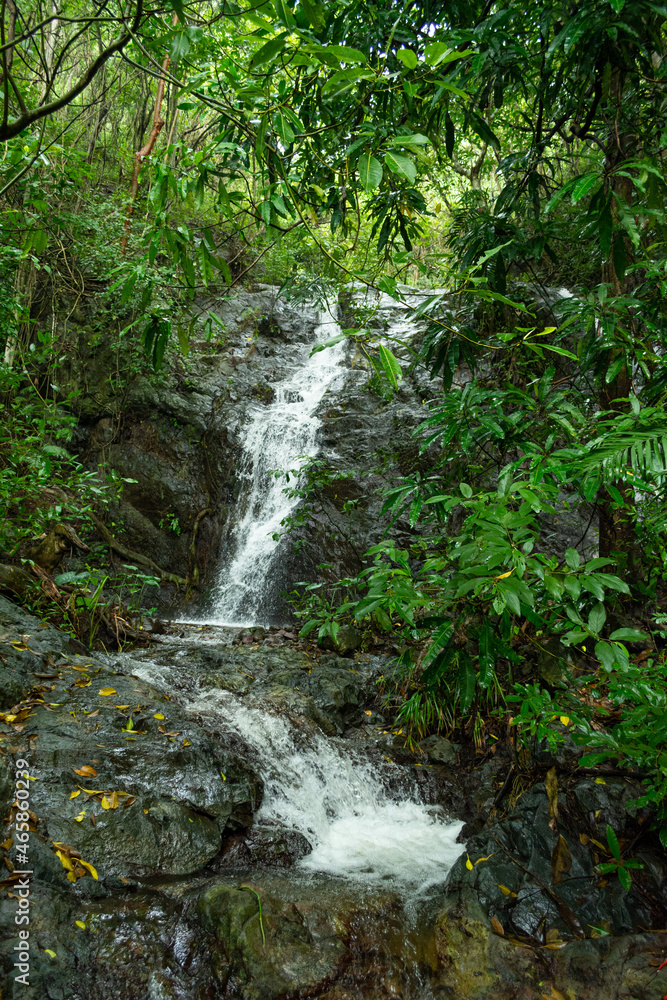 Obraz premium la sidra