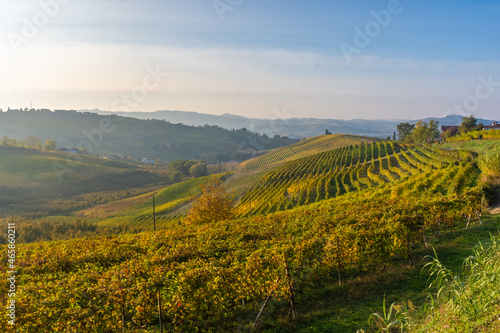 Amazing autumnal landscape in the Langhe, famous vineyard area in Piedmont Italy