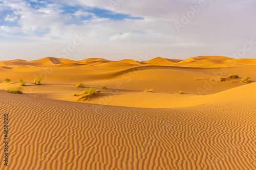 Beautiful landscape of the dunes in the Sahara Desert  Merzouga  Morocco