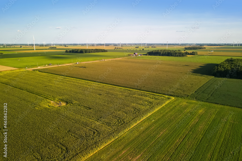 Aerial view of Soy bean fields in Michigan countryside