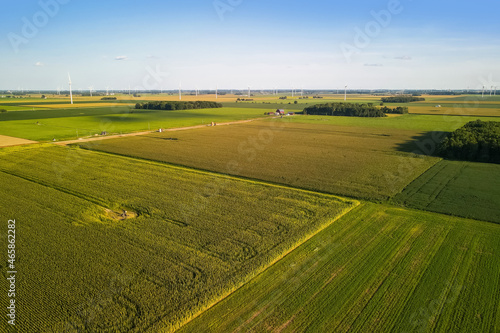 Fototapeta Naklejka Na Ścianę i Meble -  Aerial view of Soy bean fields in Michigan countryside
