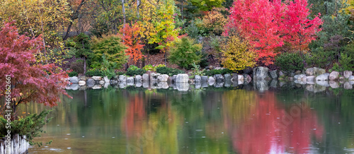 Panoramic view of colorful fall foliage along side of lake at Japanese garden in Frederik Meijer gardens ,Grand rapids, Michigan photo
