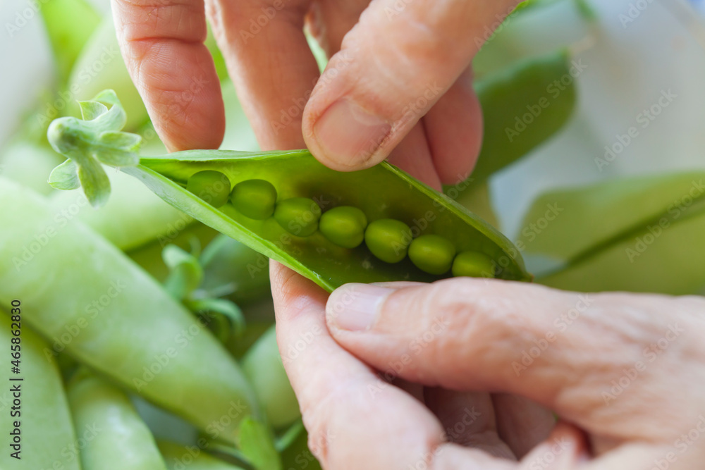 Green pea - fresh vegetable from the kichen veg garden. Green pea - fresh vegetable from the kichen veg garden.