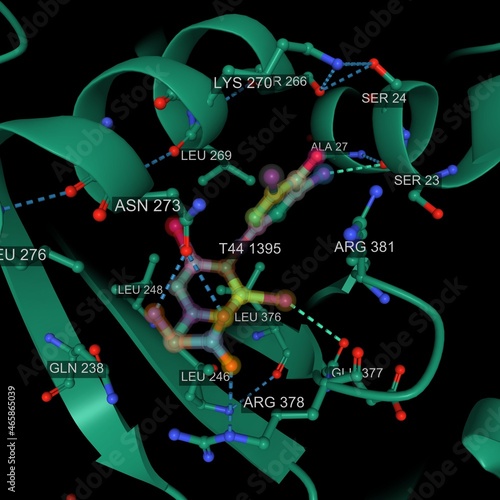 Structure of the thyroxine-binding globulin complex active site with thyroxine and labeled interacting amino acid residues. 3D cartoon model, PDB 2ceo, black background photo