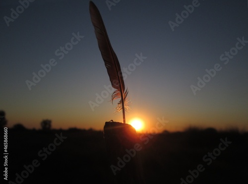 feather and sunset